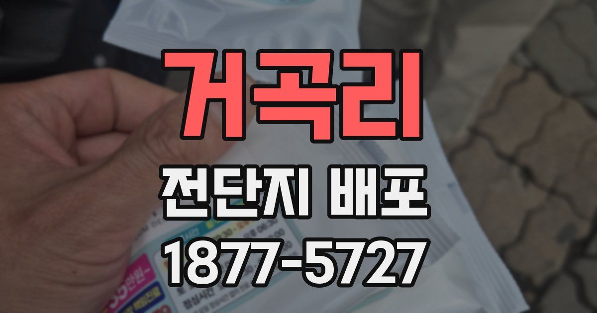 거곡리 전단지 배포