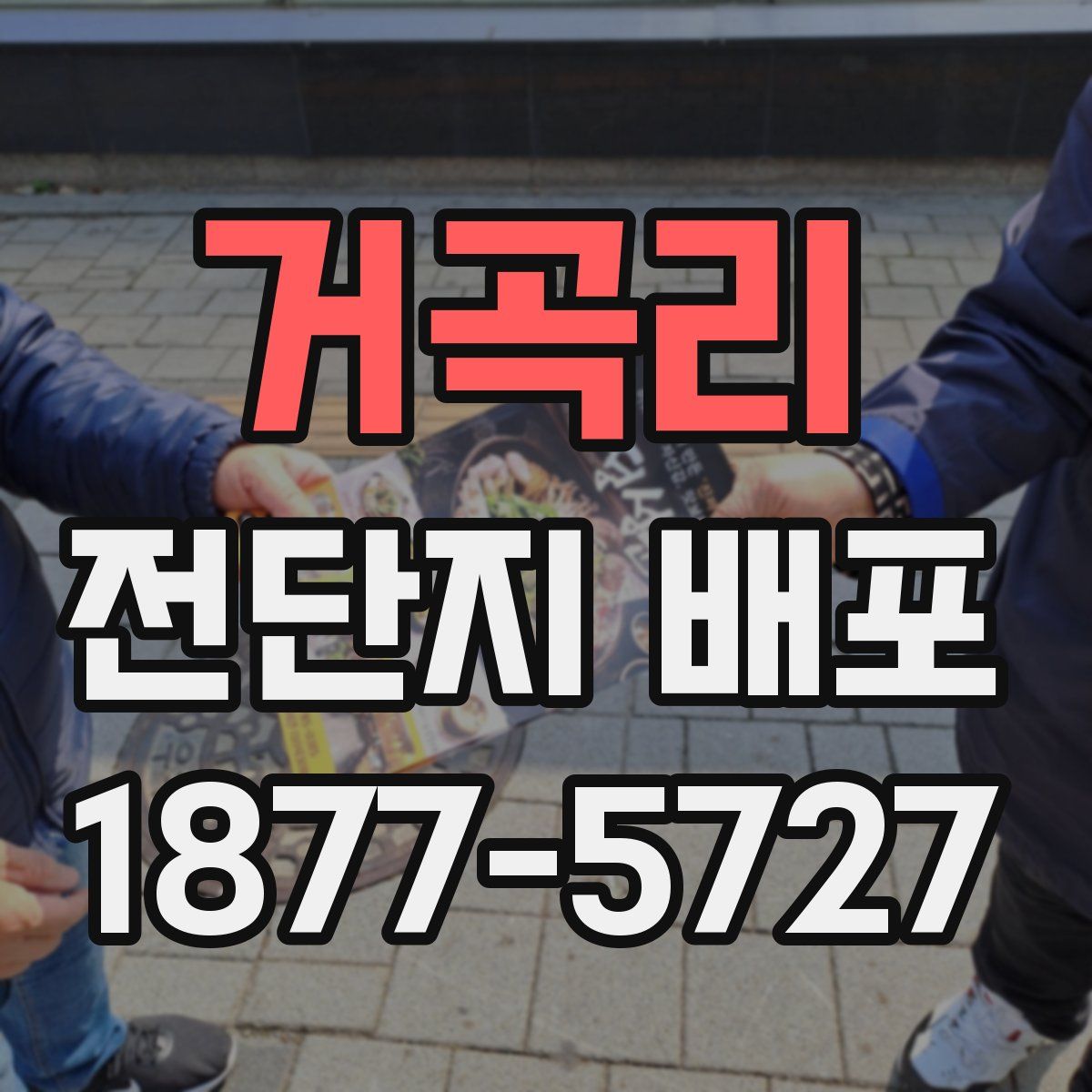 거곡리 전단지 배포