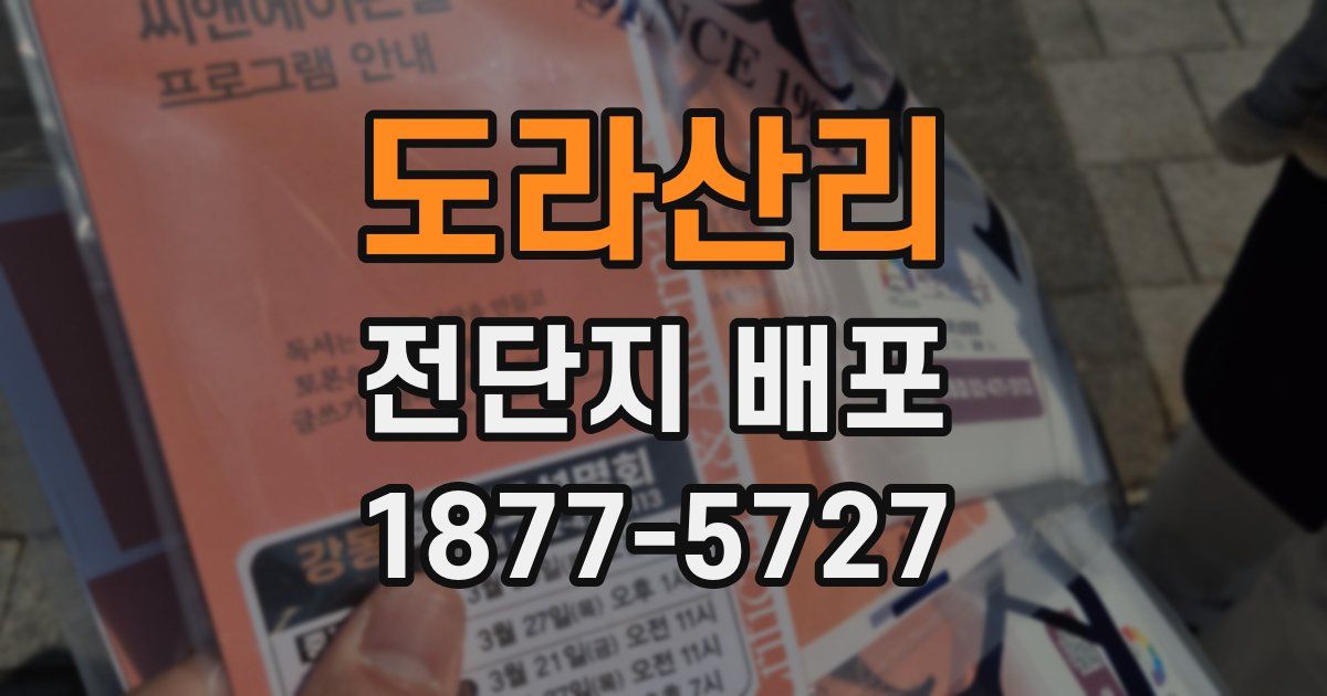 도라산리 전단지 배포