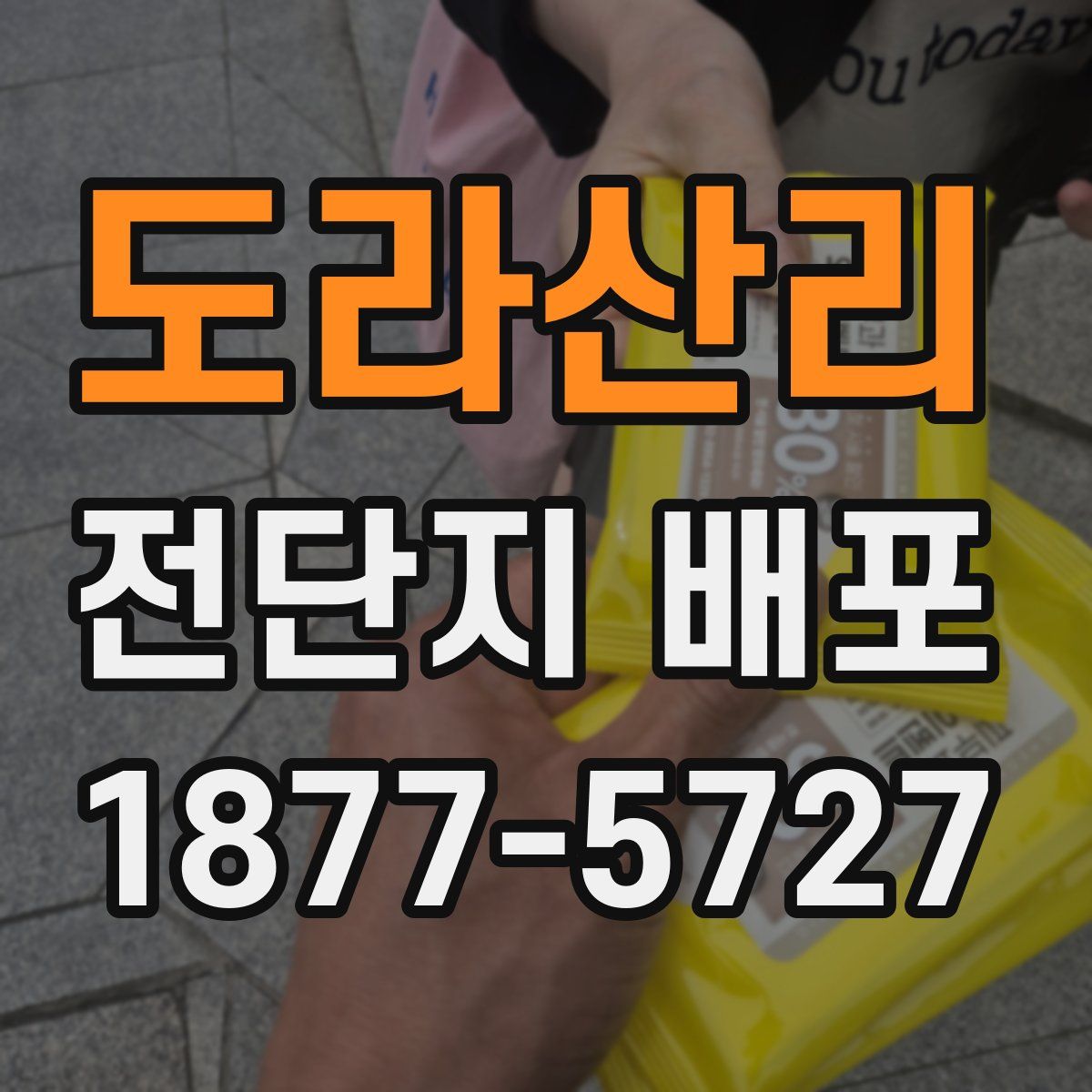 도라산리 전단지 배포