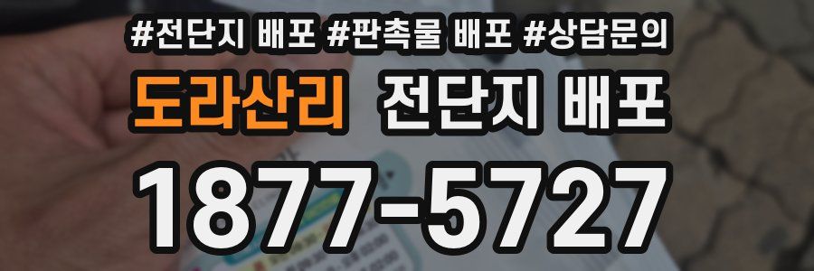 도라산리 전단지 배포