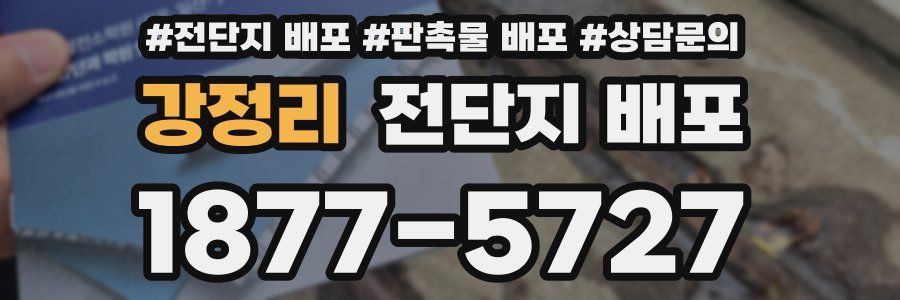 강정리 전단지 배포
