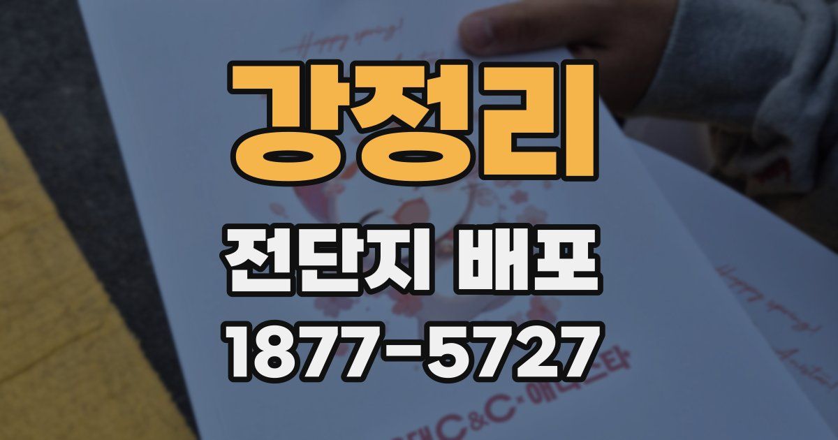 강정리 전단지 배포