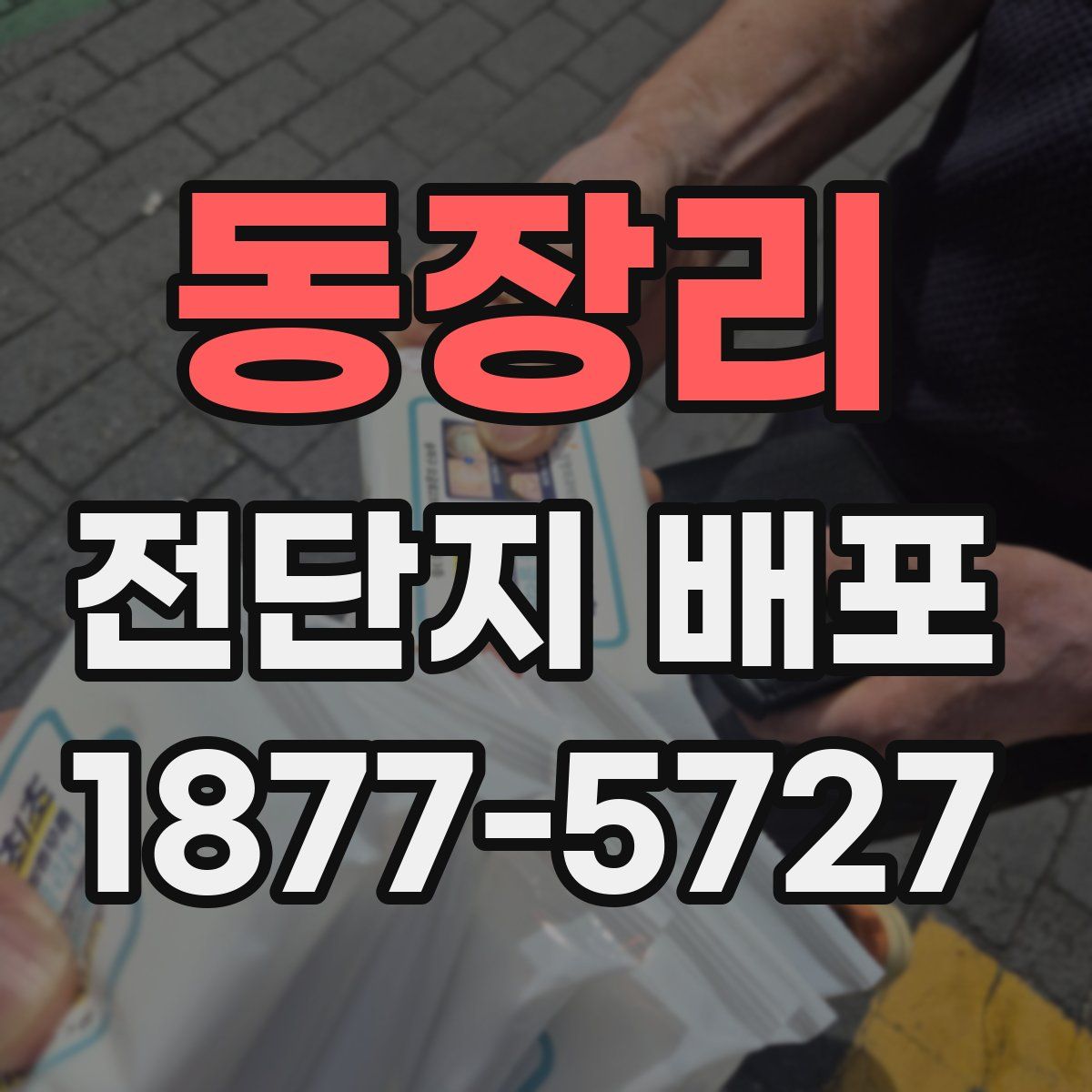 동장리 전단지 배포
