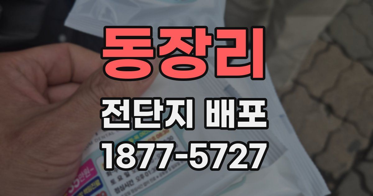 동장리 전단지 배포