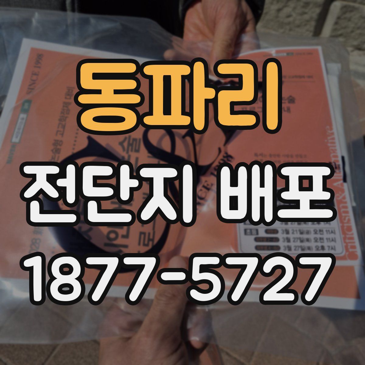 동파리 전단지 배포