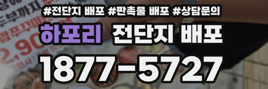 하포리 전단지 배포