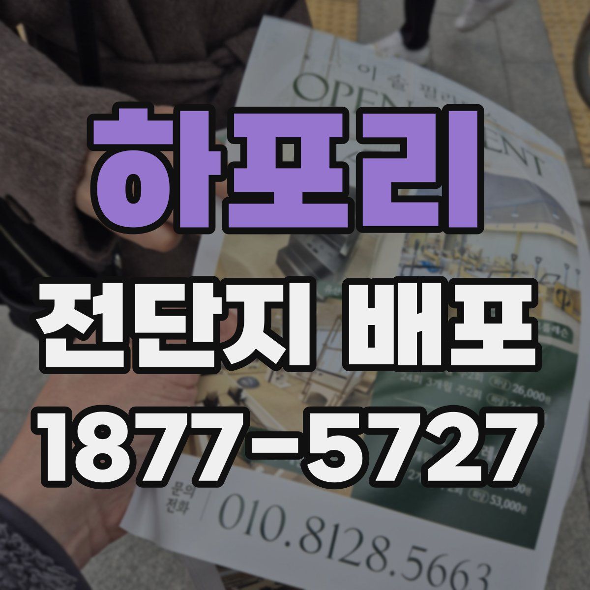 하포리 전단지 배포