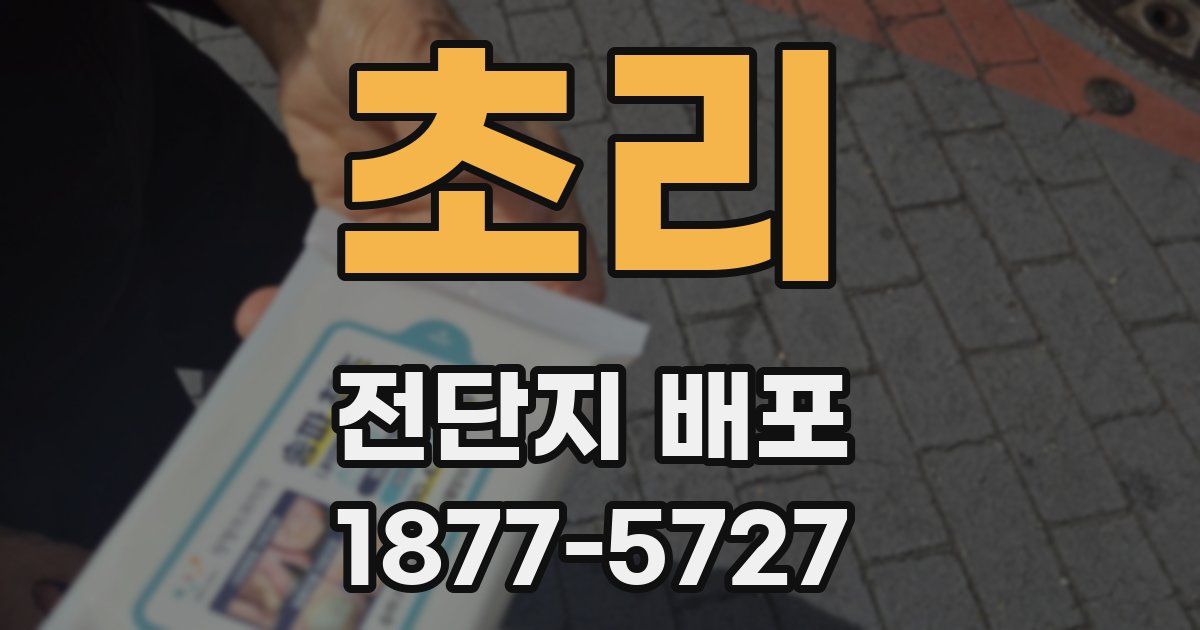 초리 전단지 배포