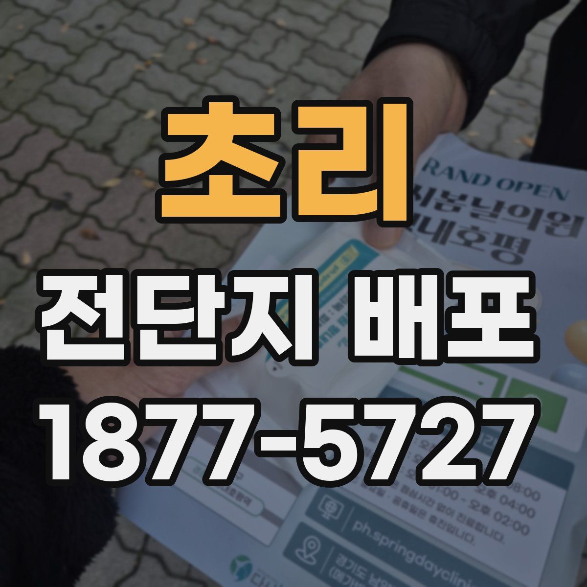 초리 전단지 배포