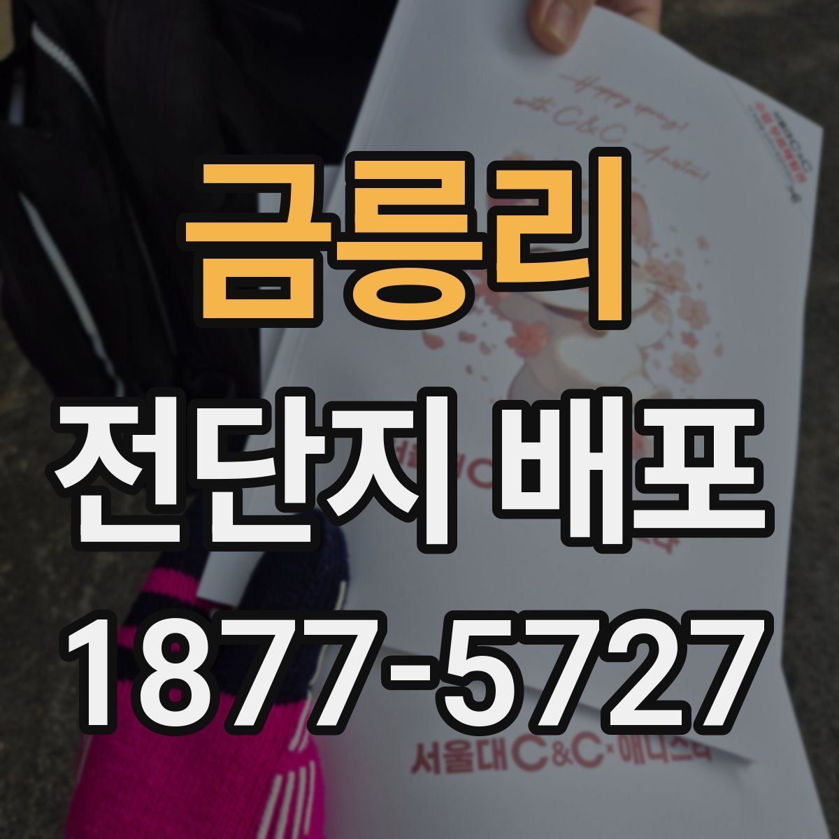 금릉리 전단지 배포