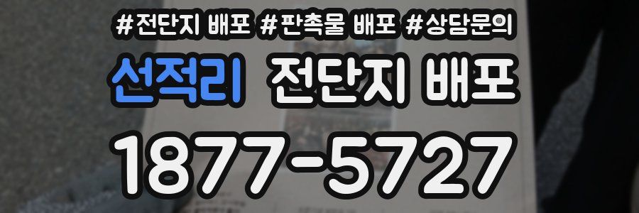 선적리 전단지 배포