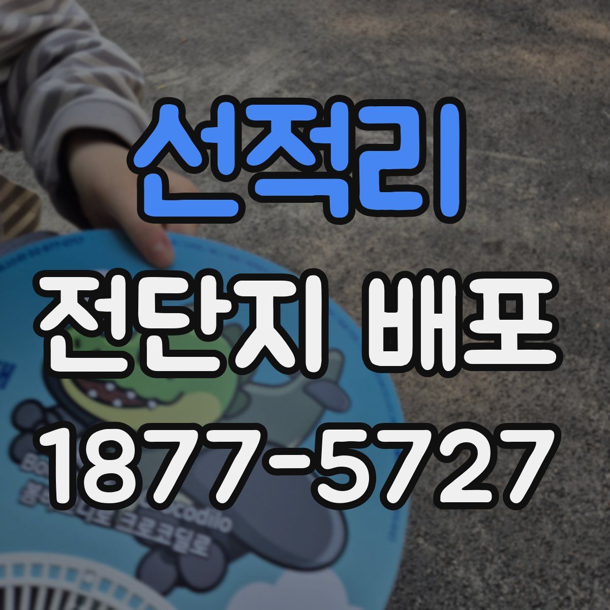 선적리 전단지 배포