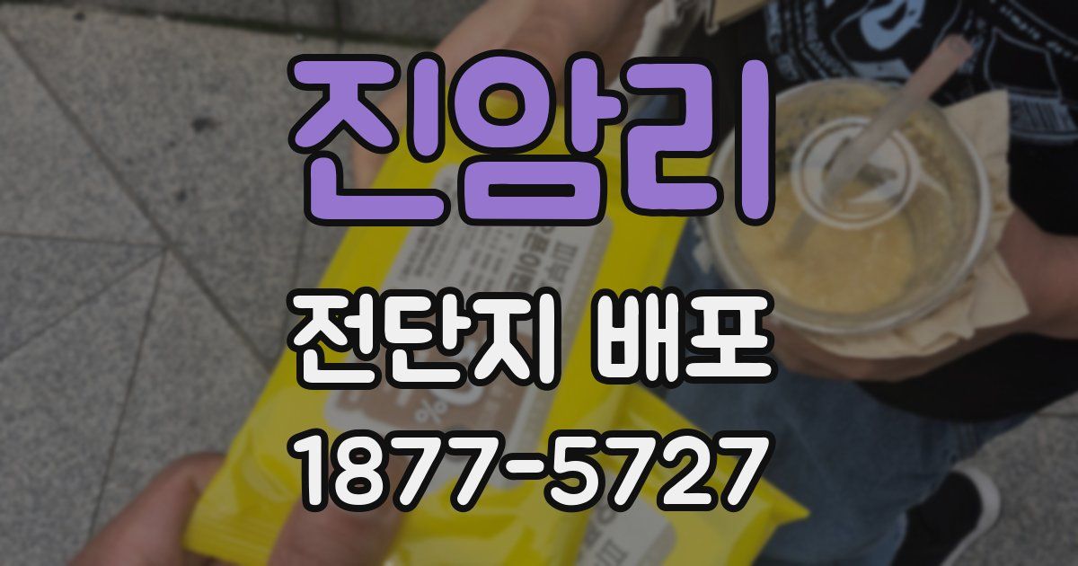 진암리 전단지 배포