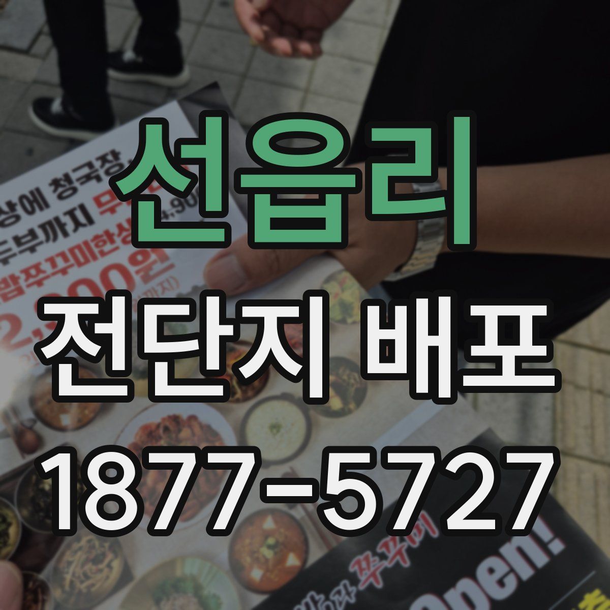 선읍리 전단지 배포