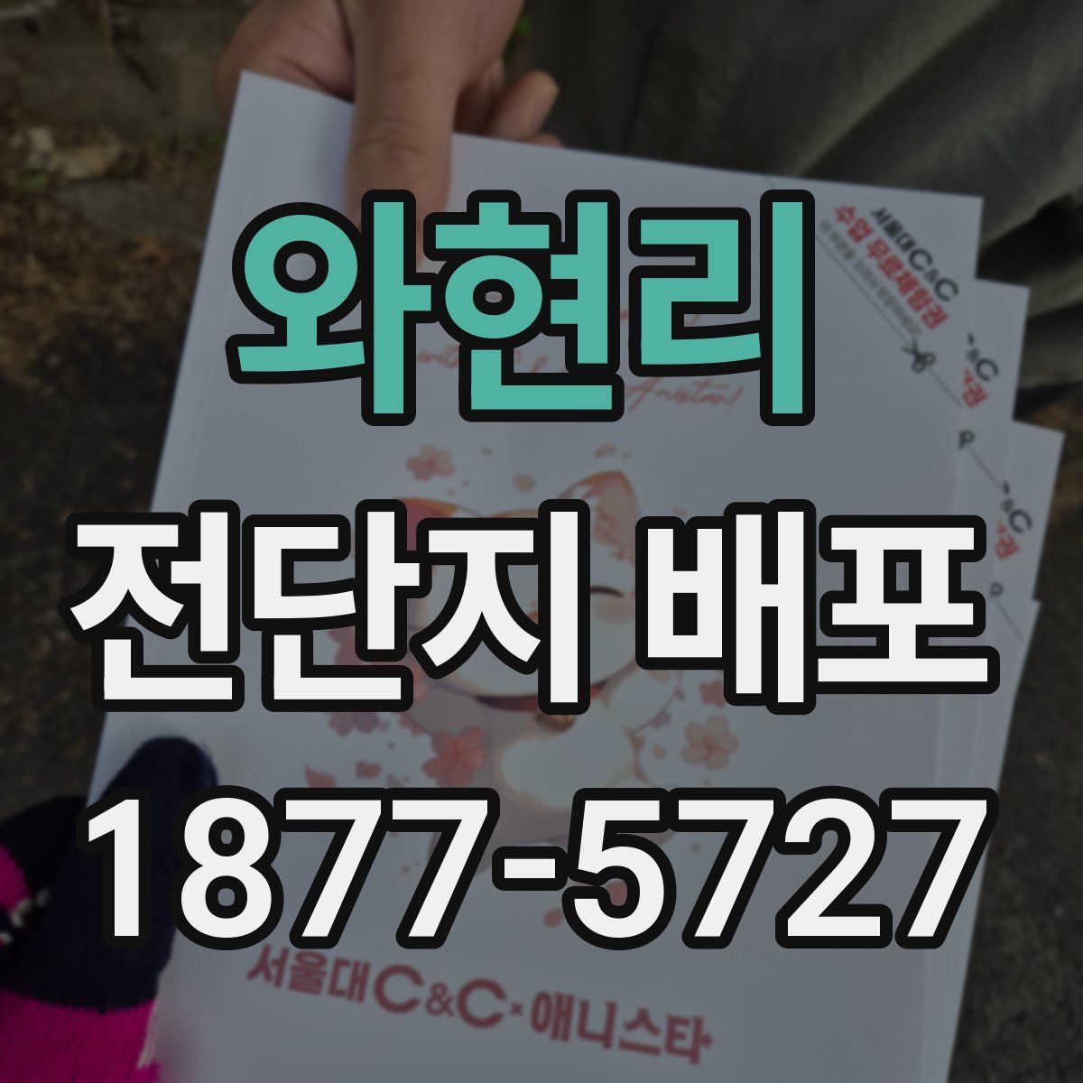 와현리 전단지 배포