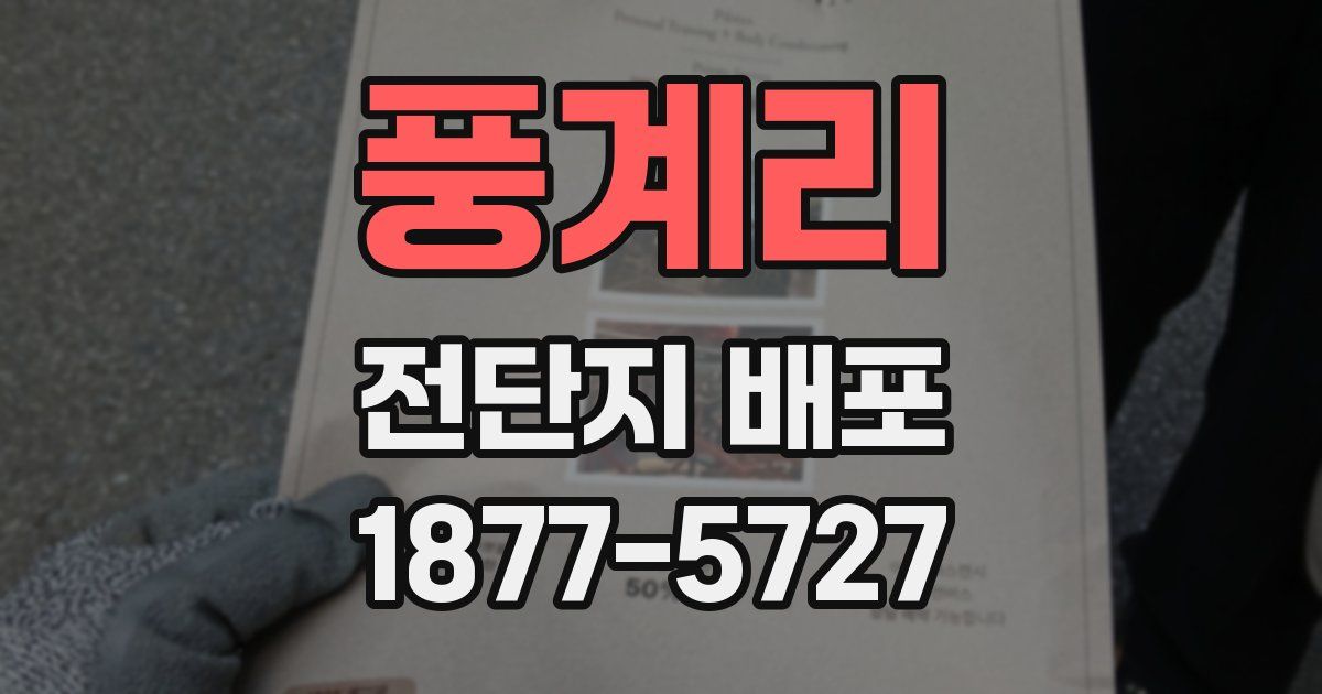 풍계리 전단지 배포