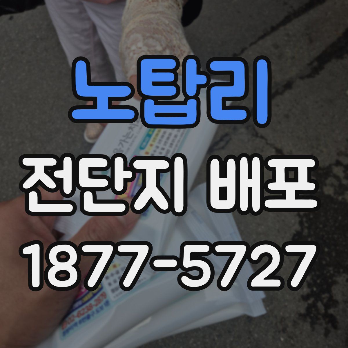 노탑리 전단지 배포
