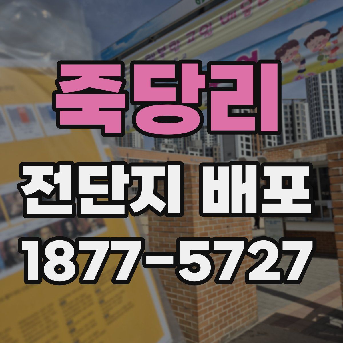 죽당리 전단지 배포