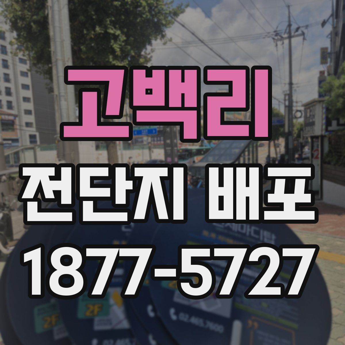 고백리 전단지 배포