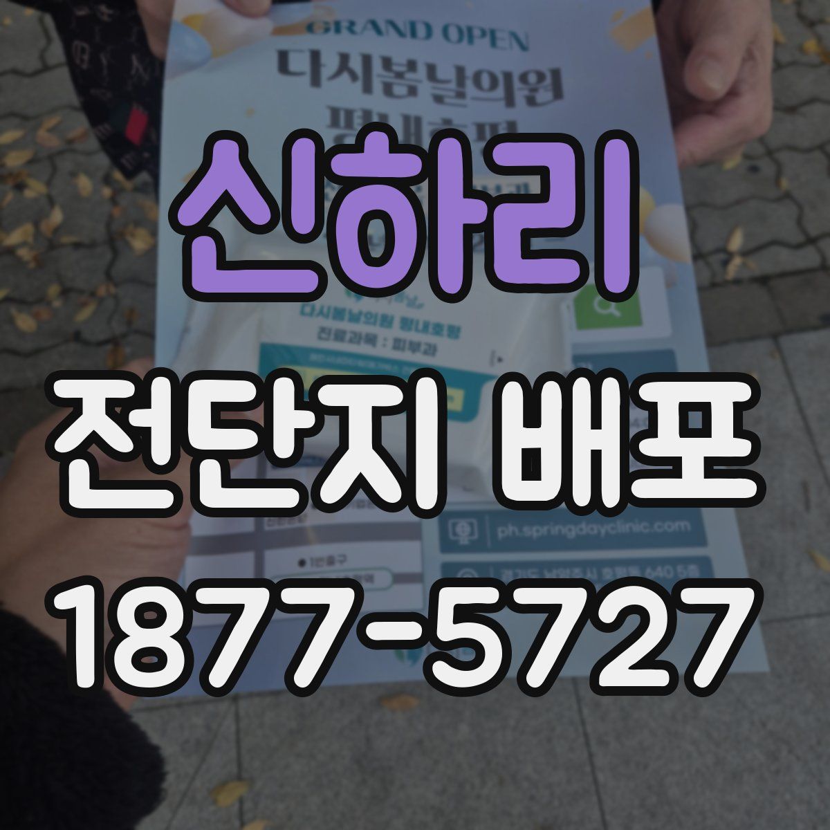 신하리 전단지 배포