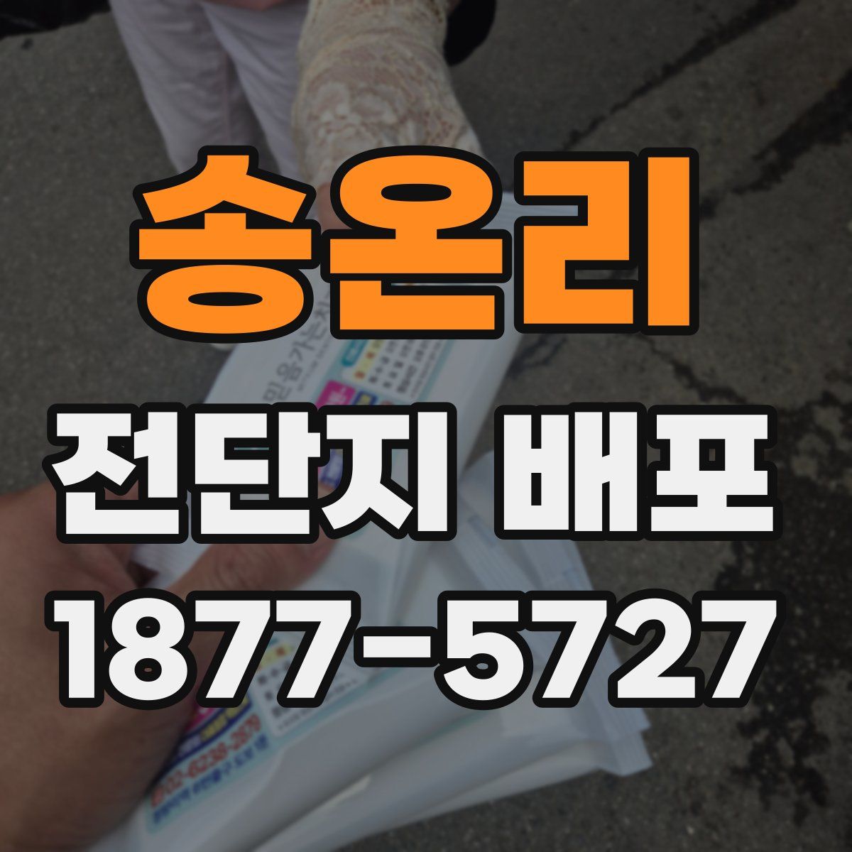 송온리 전단지 배포