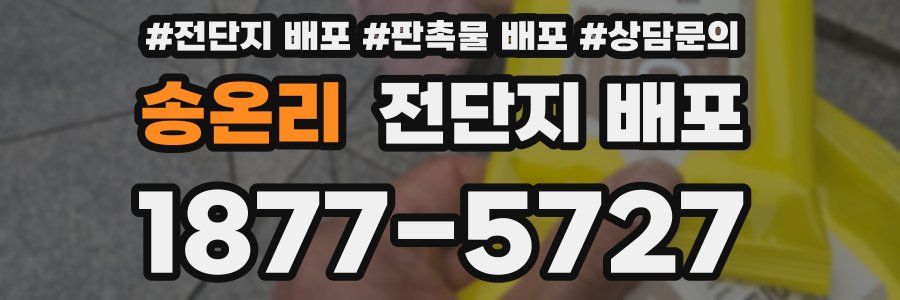 송온리 전단지 배포