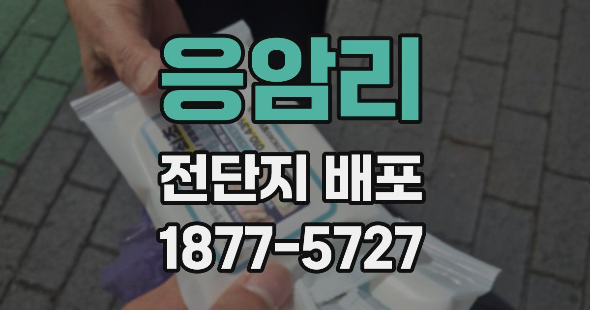 응암리 전단지 배포