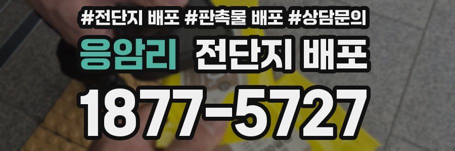 응암리 전단지 배포