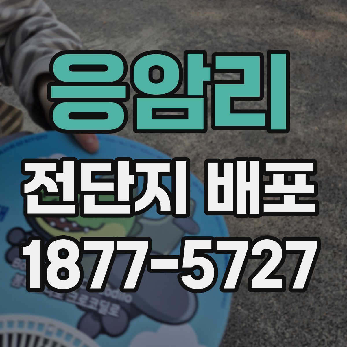 응암리 전단지 배포