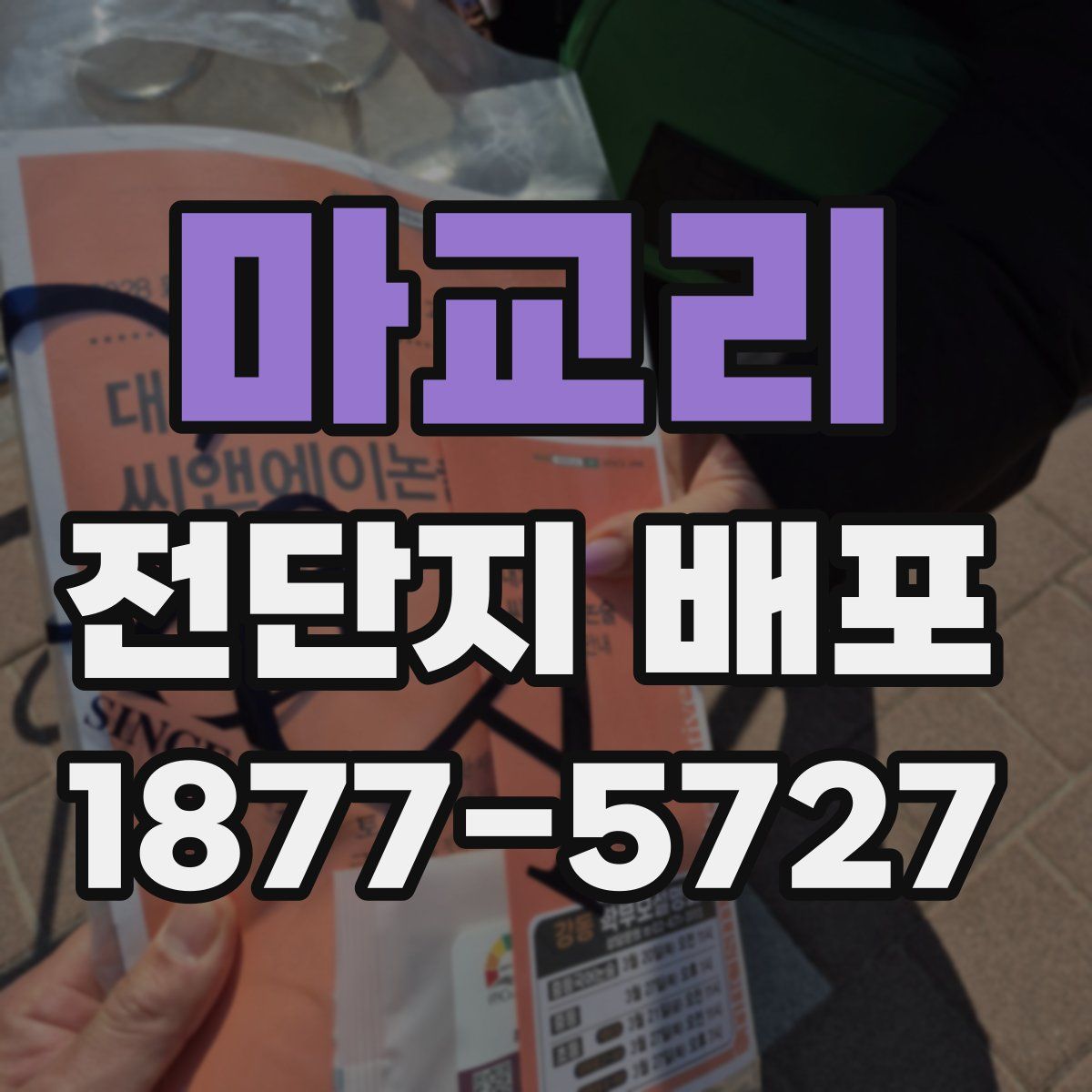 마교리 전단지 배포