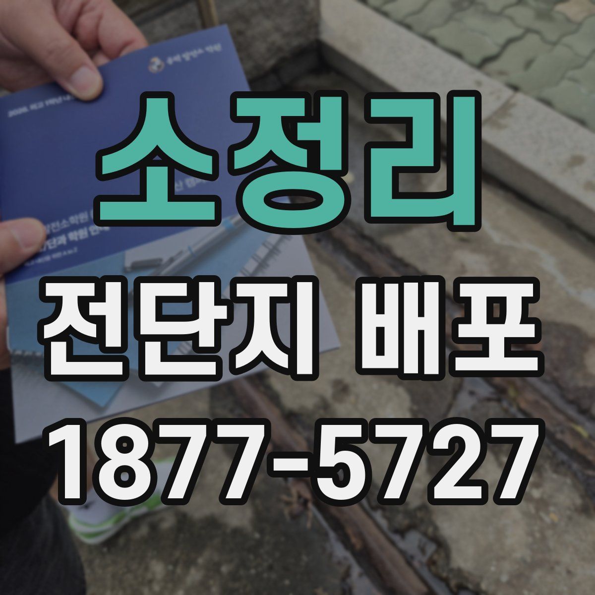 소정리 전단지 배포