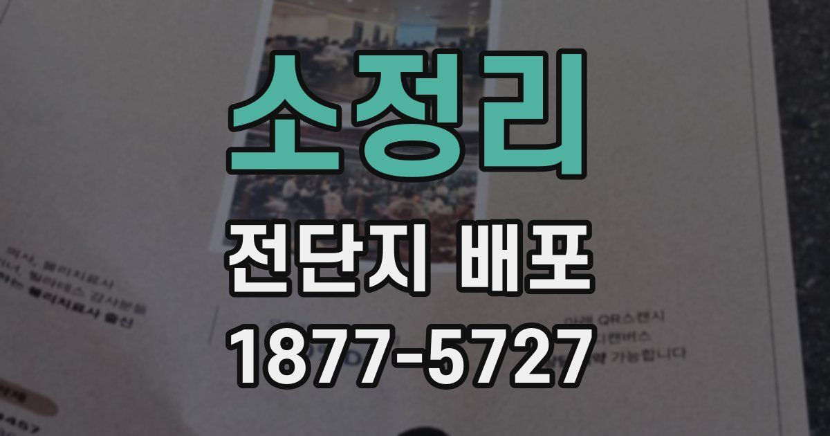 소정리 전단지 배포
