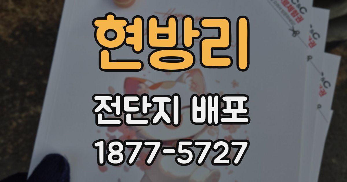 현방리 전단지 배포