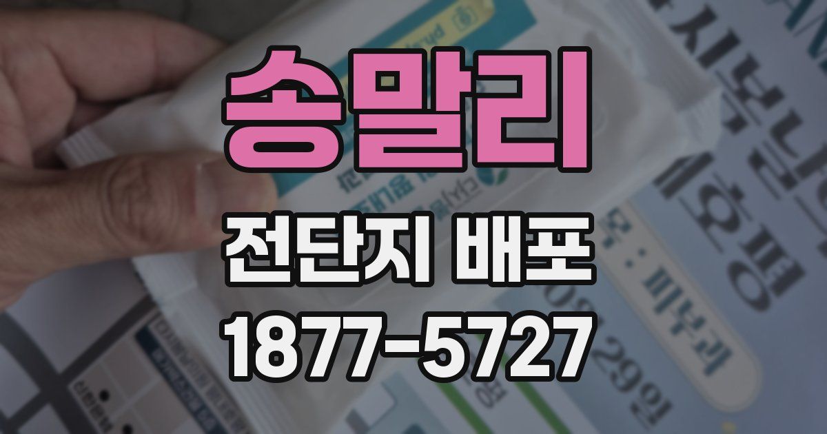 송말리 전단지 배포