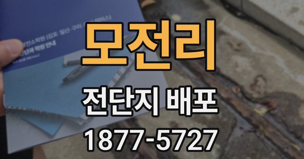 모전리 전단지 배포