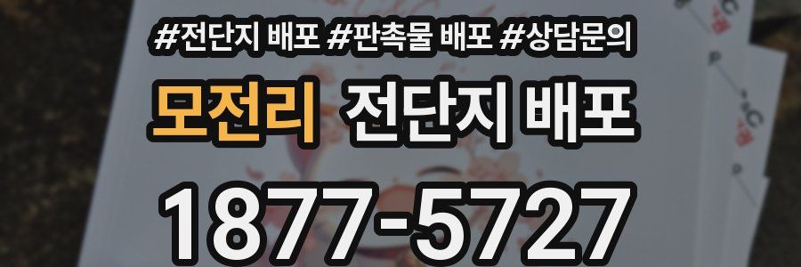 모전리 전단지 배포