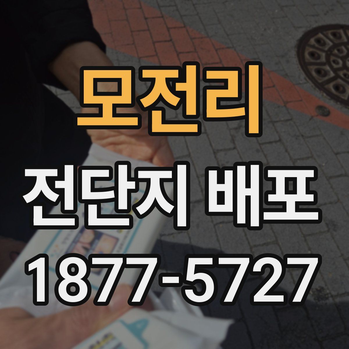 모전리 전단지 배포