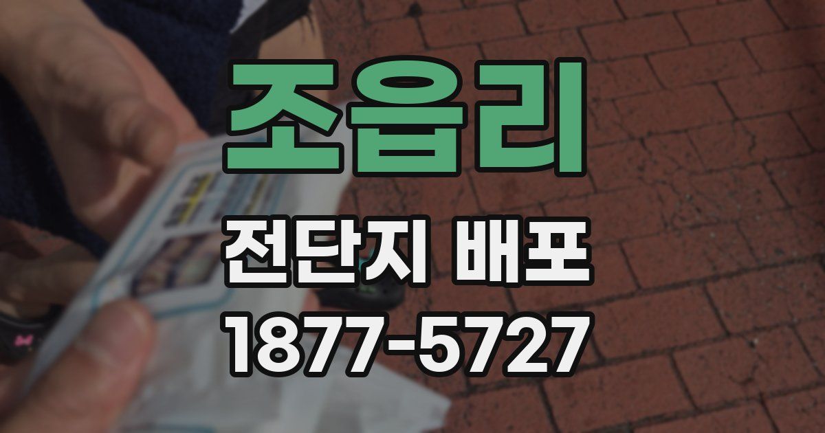 조읍리 전단지 배포