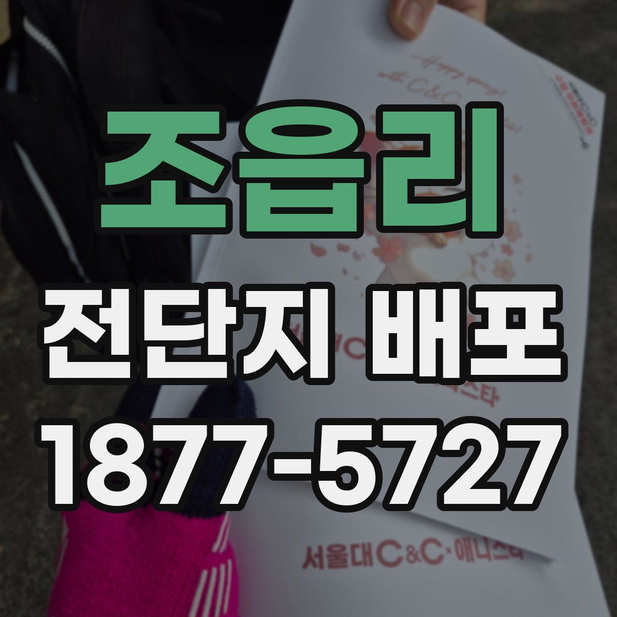 조읍리 전단지 배포