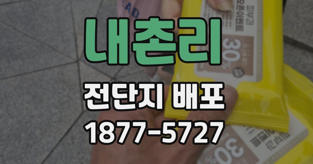 내촌리 전단지 배포
