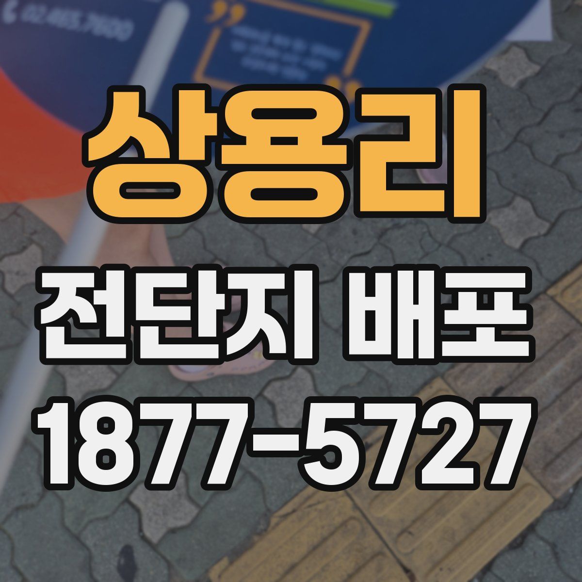 상용리 전단지 배포