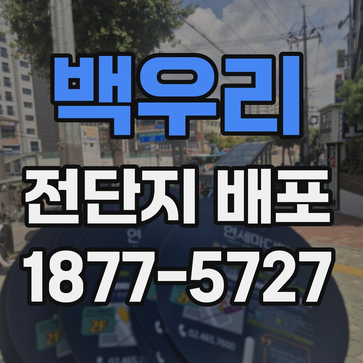 백우리 전단지 배포