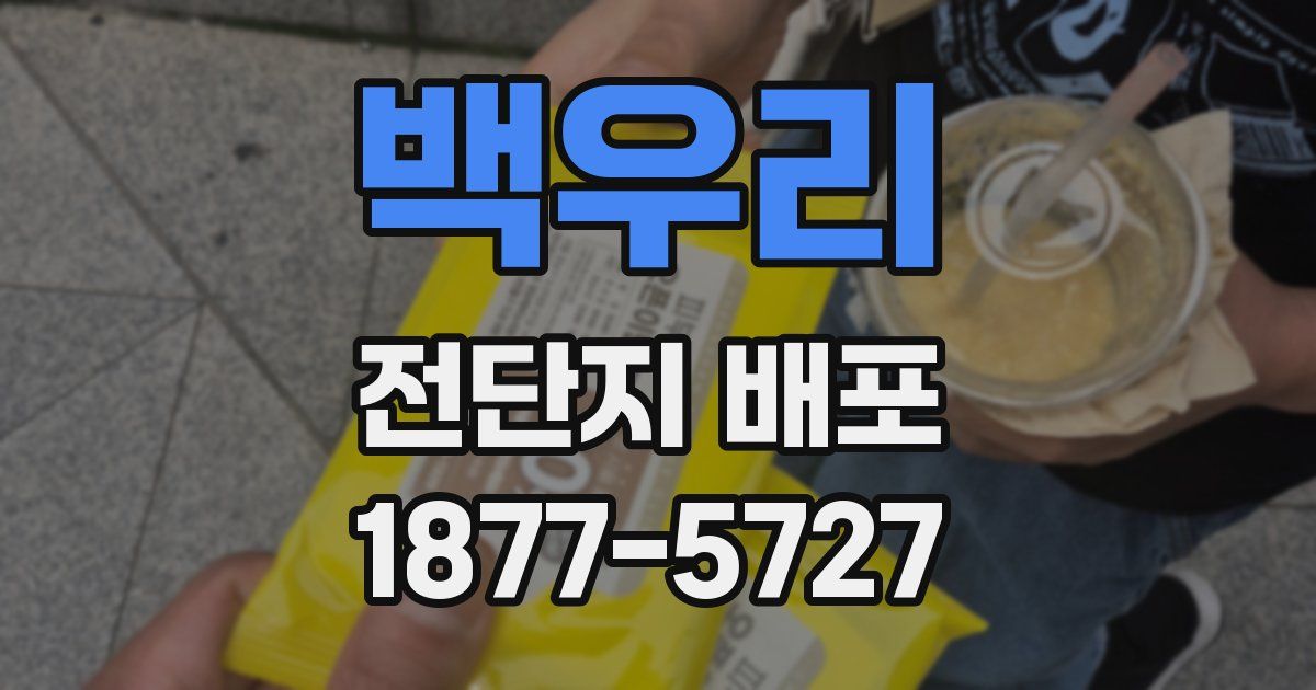 백우리 전단지 배포