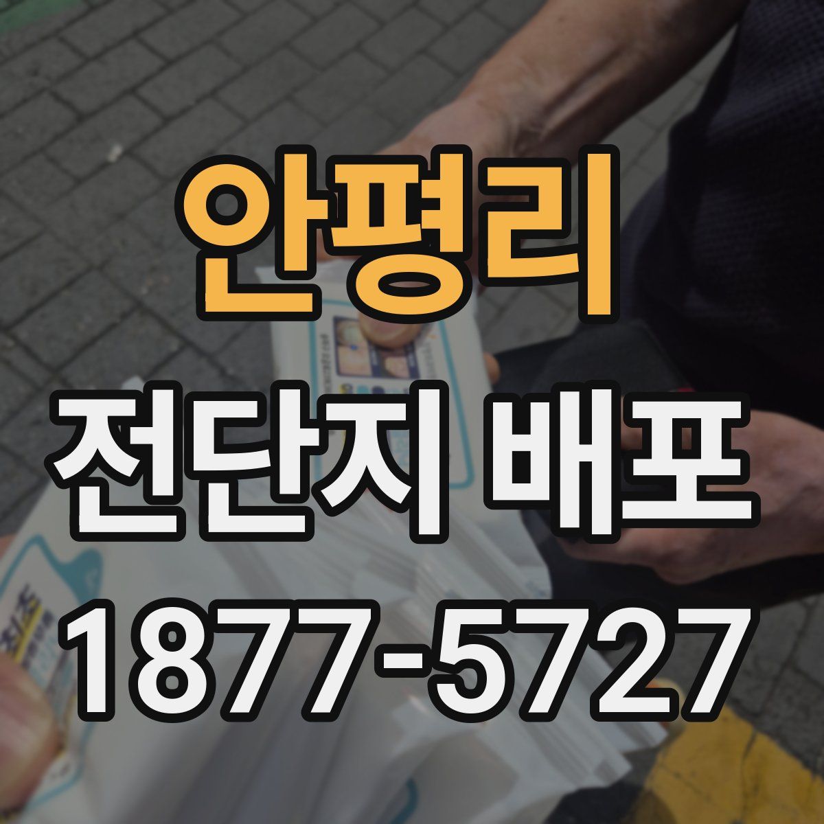 안평리 전단지 배포