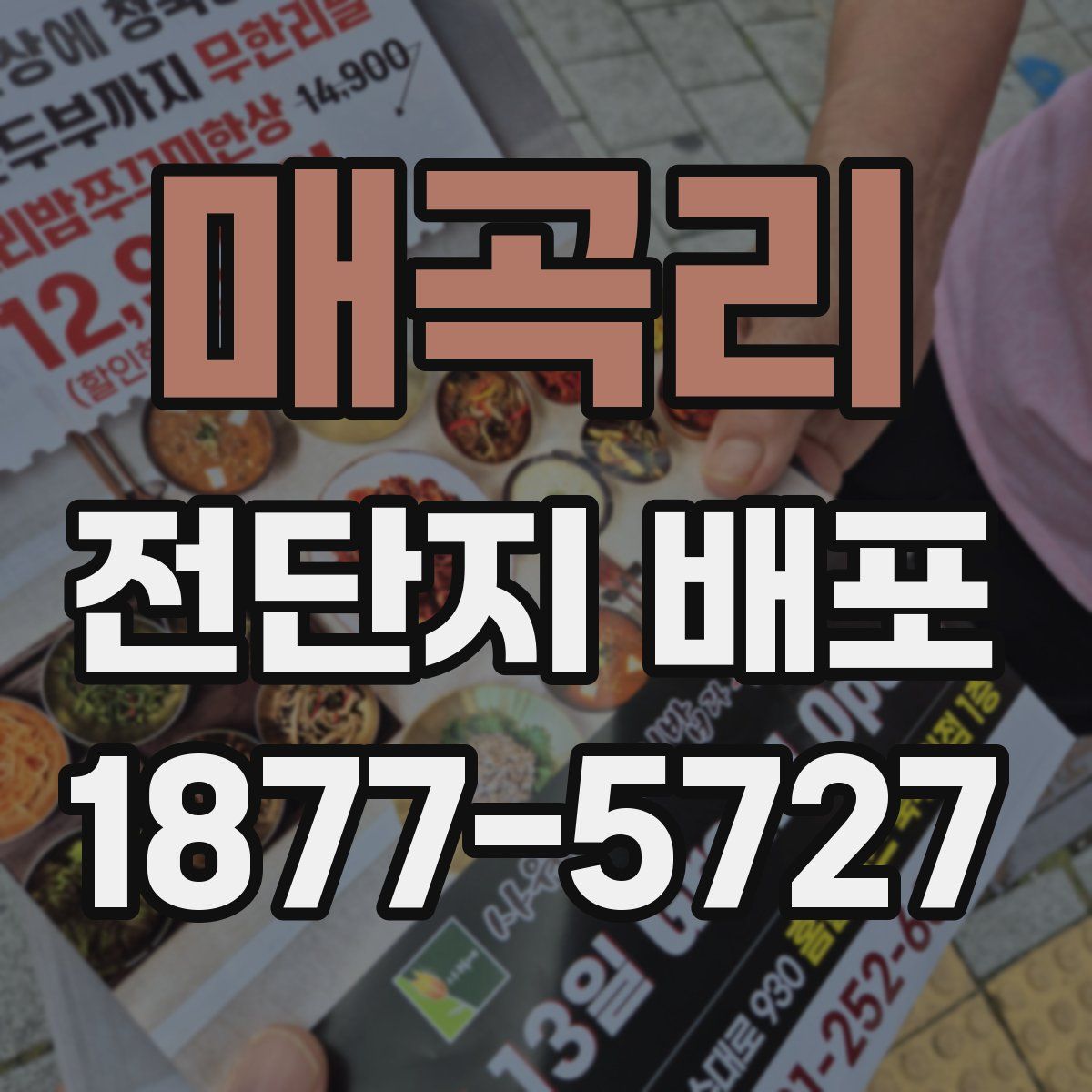 매곡리 전단지 배포
