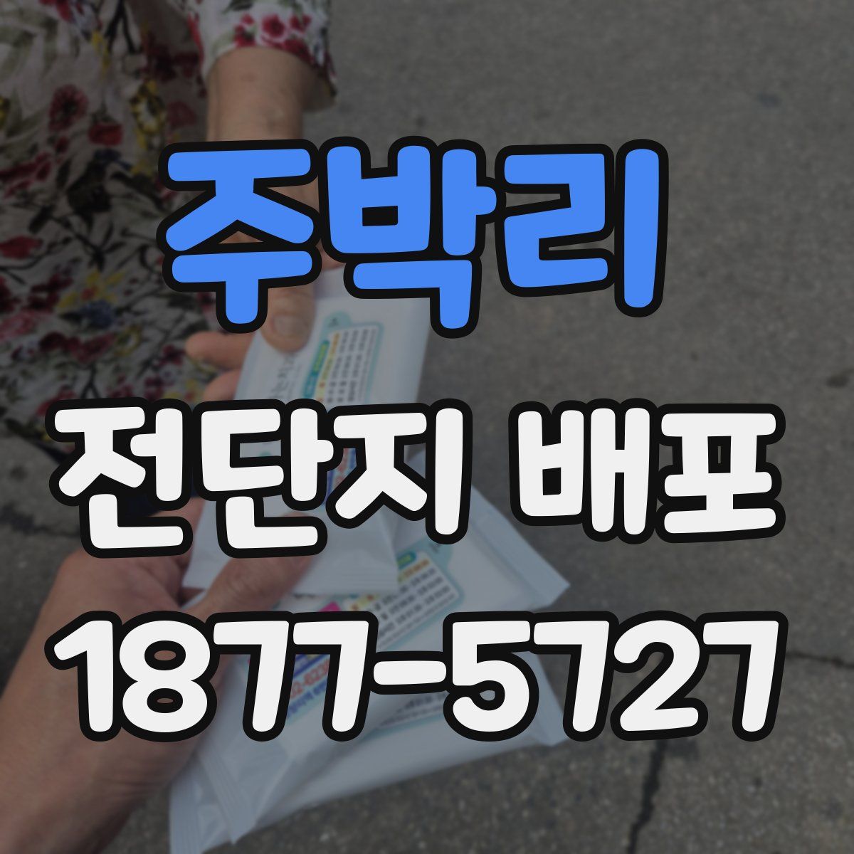 주박리 전단지 배포