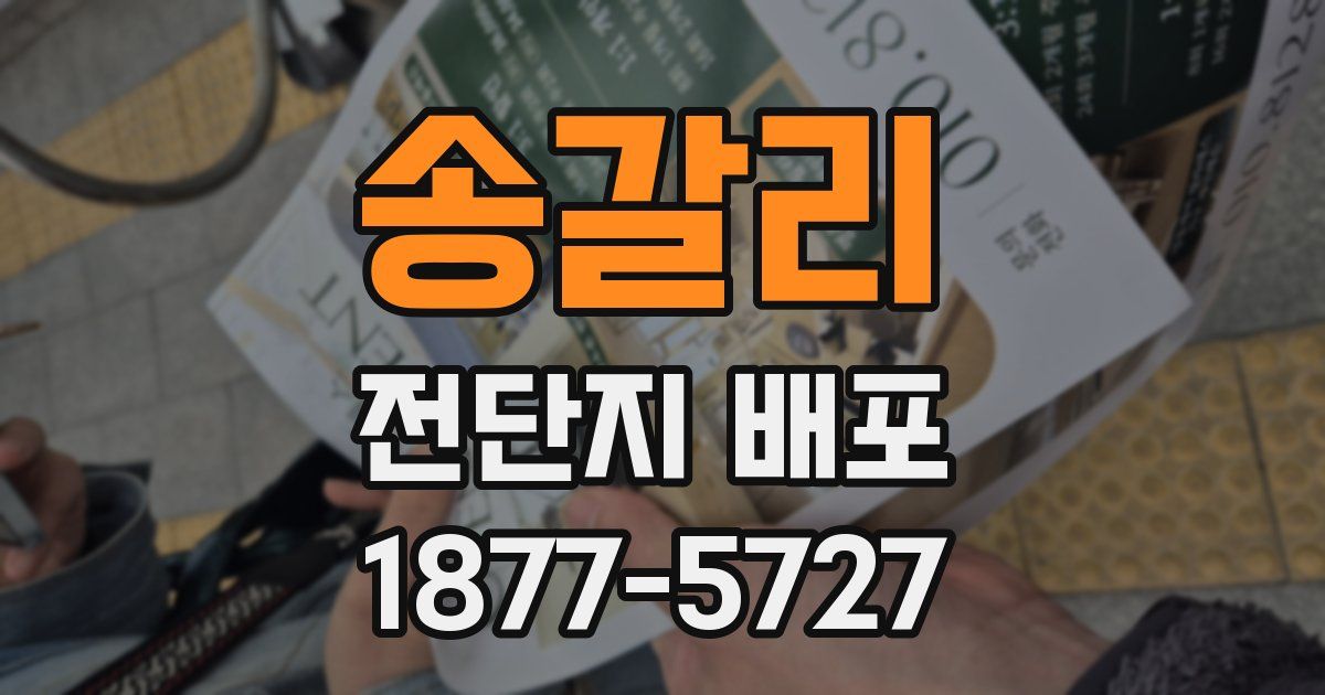 송갈리 전단지 배포