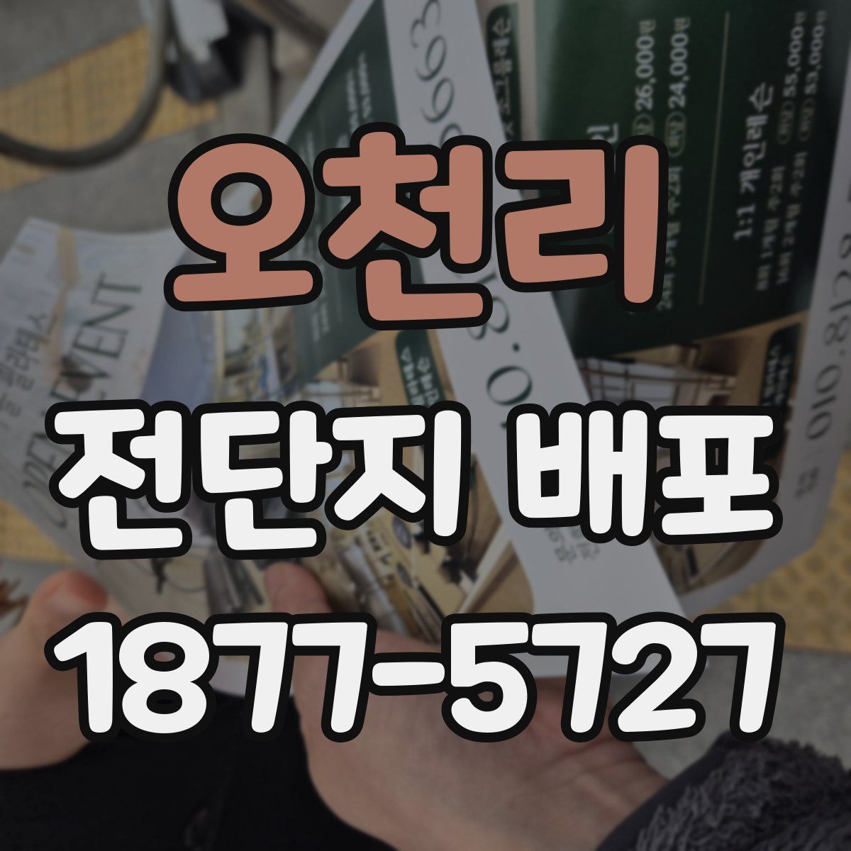 오천리 전단지 배포