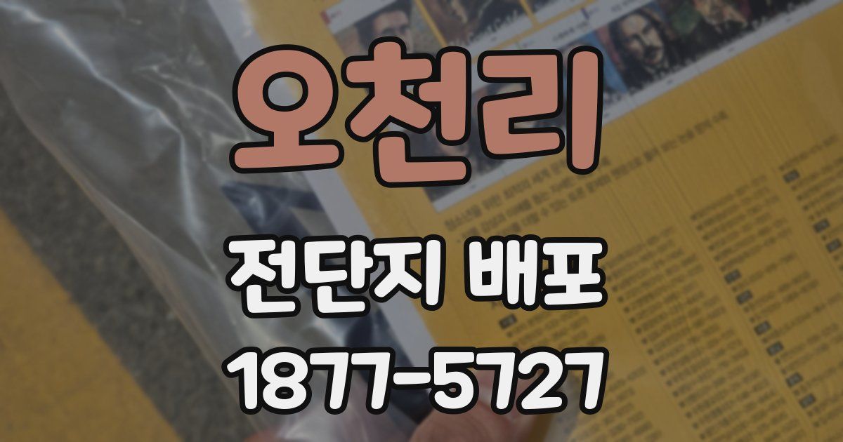 오천리 전단지 배포
